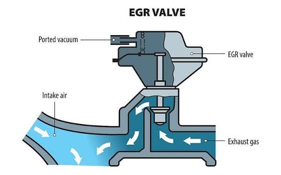 Essex Remaps 2 EGR Delete